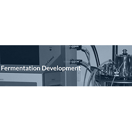Fermentation Development