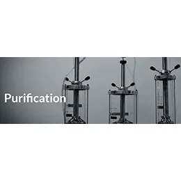 Purification