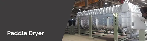 Paddle dryer
