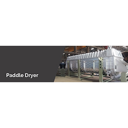 Paddle dryer