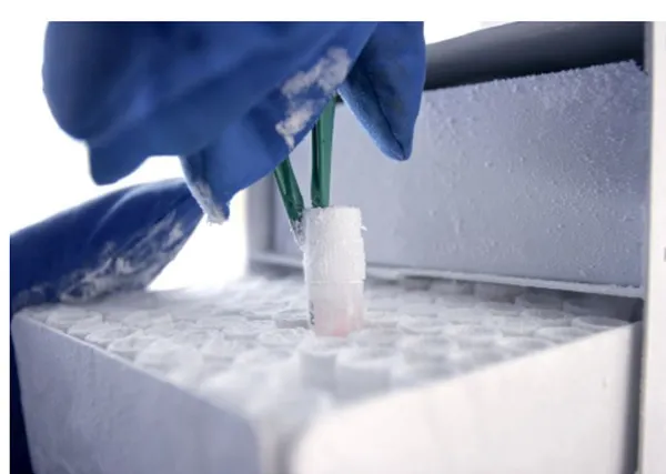 Clinical Sample Management