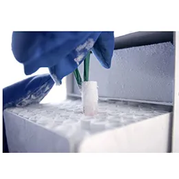 Clinical Sample Management