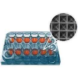 Sphericalplate 5D