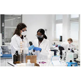 ENZYME ACTIVITY