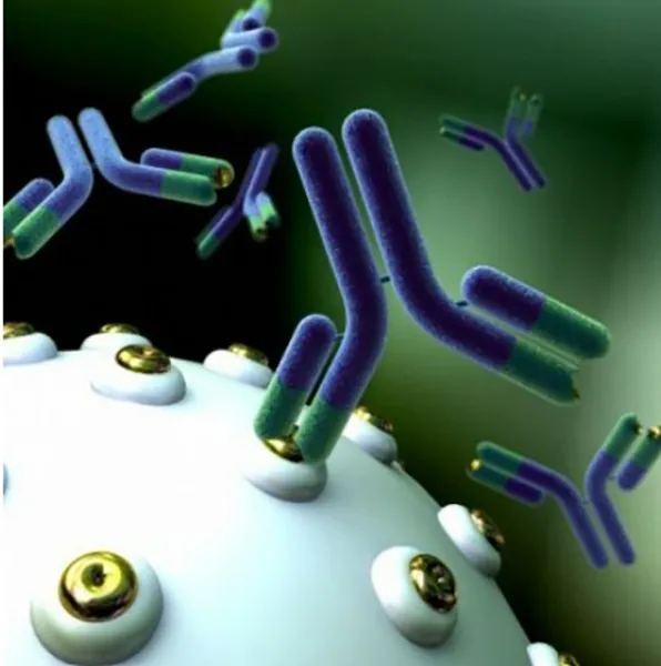 Antibodies