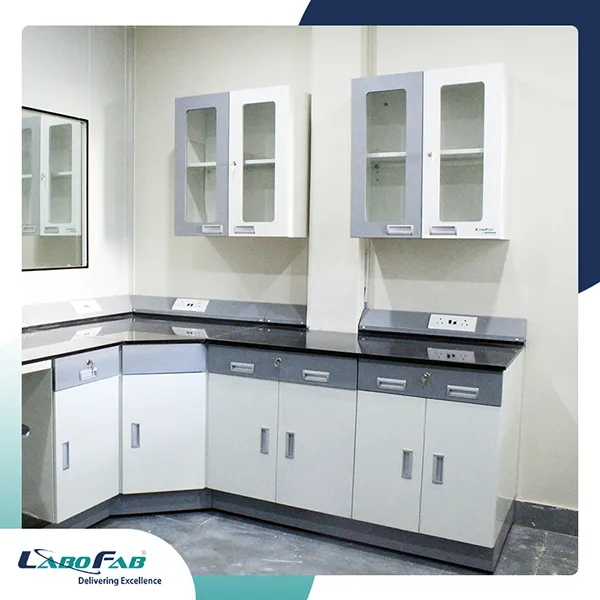 WALL STORAGE CABINETS (WSC)