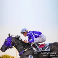 Ekicart®: Clinical Case Study for the Treatment of Osteoarthritis in Horses