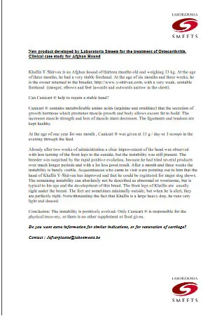 New product developed by Laboratoria Smeets for the treatment of Osteoarthritis. Clinical case study for Afghan Hound