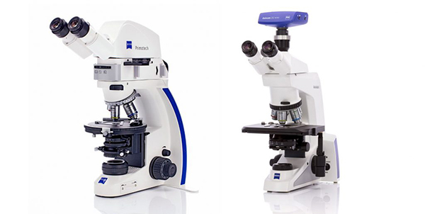 Routine Compound Microscopes