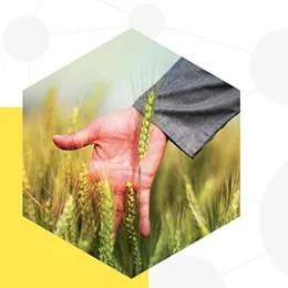 Crop sciences