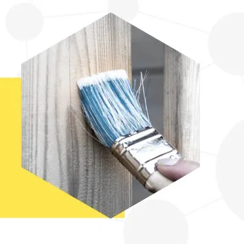 Paints Coatings and Inks