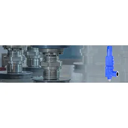 Compact Performance safety valves