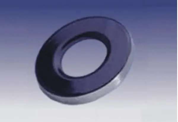 Fused Sight Glass Assembly for Glass Lined Reactors