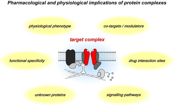 Membrane Protein Complexes