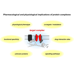 Membrane Protein Complexes