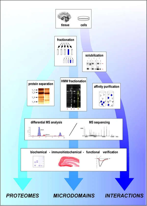Logopharm Experimental strategy