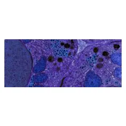Bioscience