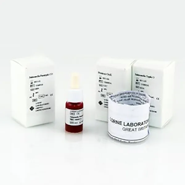 Febrile Antigen Kit