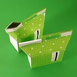 Disposable container with inner bag