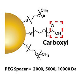 Gold Nanoparticles - Carboxyl
