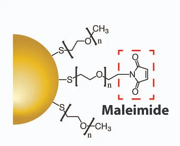 Gold Nanoparticles - Maleimide