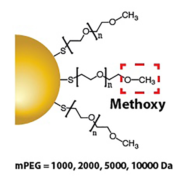 Gold Nanoparticles - Methoxy PEG