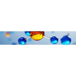Development Sciences