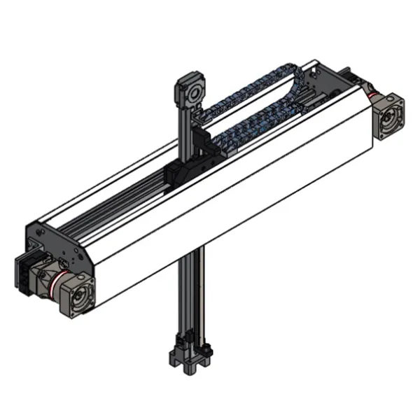 Linear T-Bot Gantry Robots MGS-TBG-12