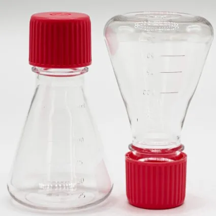 Erlenmeyer flasks