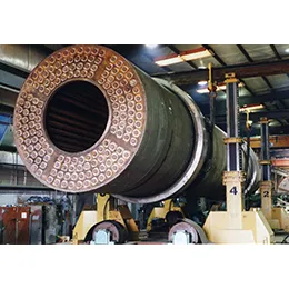 Rotary Dryers