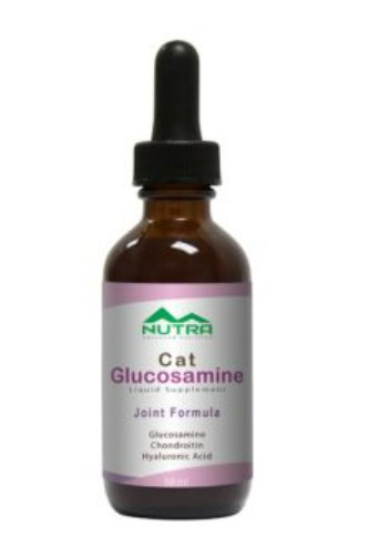 Cat Liquid Glucosamine Supplement
