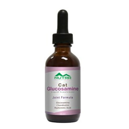 Cat Liquid Glucosamine Supplement