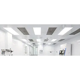 Cleanroom ceilings