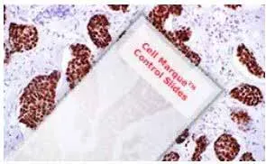 Cell Marque™ Control Slides