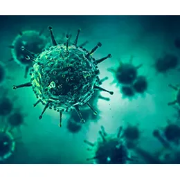 Infectious diseases