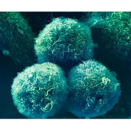 Oncology