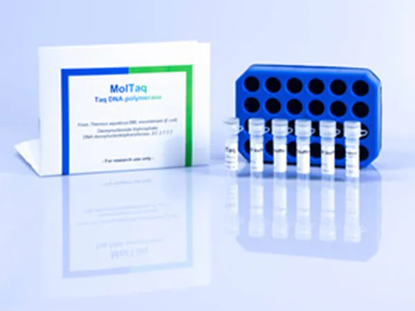 DNA-Free PCR Reagents & Assays