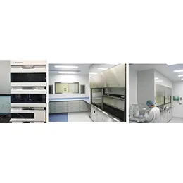 Custom cGMP  API Manufacturing