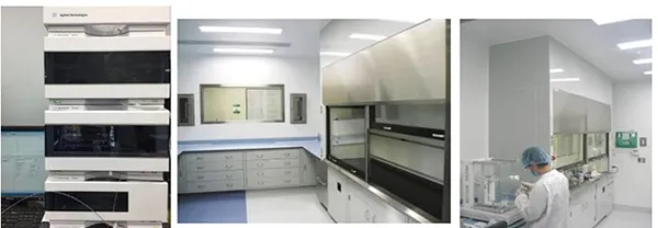 Technical Batch Synthesis Services