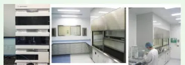 CGMP Analytical Services
