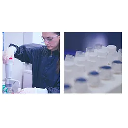 Filling and Sealing