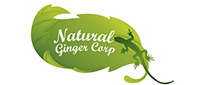 Natural Ginger Corp