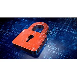 Intellectual Property Rights