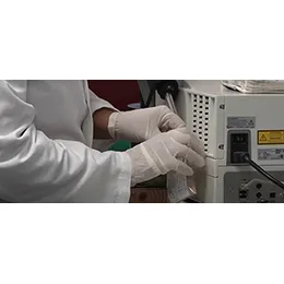 Laboratory Analysis