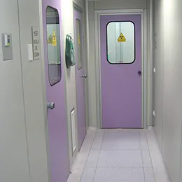 Cleanroom doors