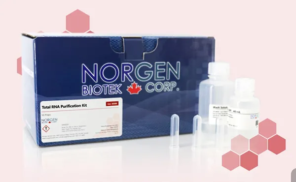 RNA Purification Kits