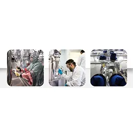 STABILISATION SERVICES