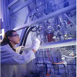 Development and scale-up services