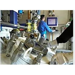 Capabilities for the manufacturing of fine chemicals