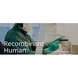 Recombinant Human
